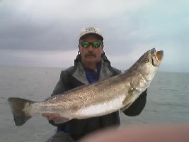 big damn fish