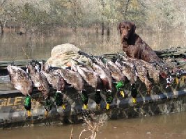 duck hunt 12-07-02 012 (2).jpg