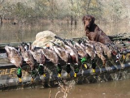 duck hunt 12-07-02 012 (2).jpg (40.1 KiB) Viewed 12494 times duck hunt 12-07-02 012 (2).jpg